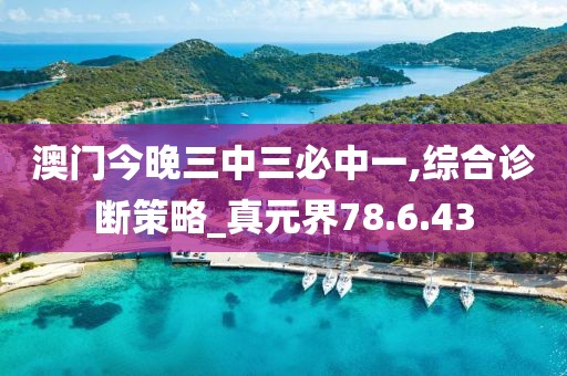 澳门今晚三中三必中一,综合诊断策略_真元界78.6.43