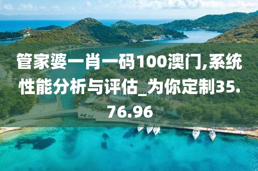 管家婆一肖一码100澳门,系统性能分析与评估_为你定制35.76.96