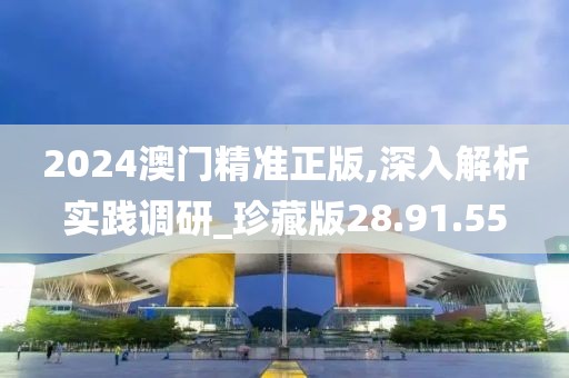 2024澳门精准正版,深入解析实践调研_珍藏版28.91.55