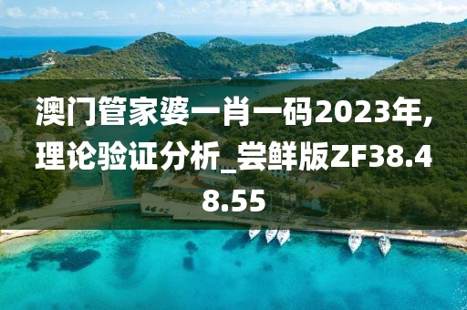 澳门管家婆一肖一码2023年,理论验证分析_尝鲜版ZF38.48.55