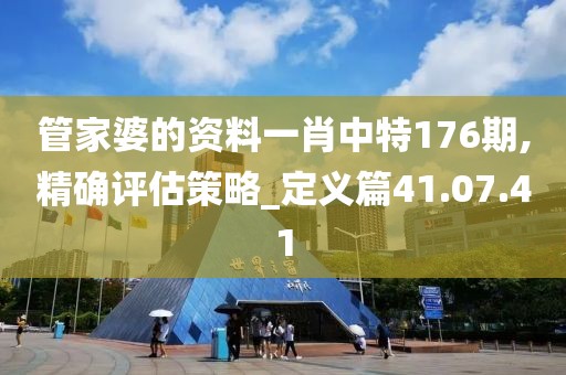 管家婆的资料一肖中特176期,精确评估策略_定义篇41.07.41