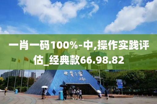 一肖一码100%-中,操作实践评估_经典款66.98.82