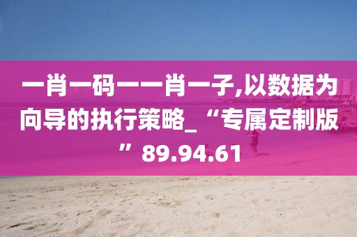 一肖一码一一肖一子,以数据为向导的执行策略_“专属定制版”89.94.61