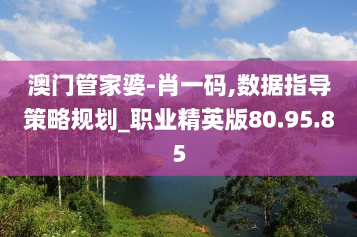 澳门管家婆-肖一码,数据指导策略规划_职业精英版80.95.85