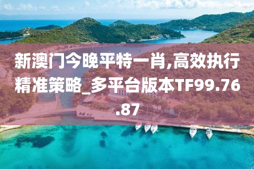 新澳门今晚平特一肖,高效执行精准策略_多平台版本TF99.76.87