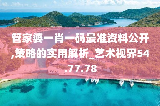 管家婆一肖一码最准资料公开,策略的实用解析_艺术视界54.77.78