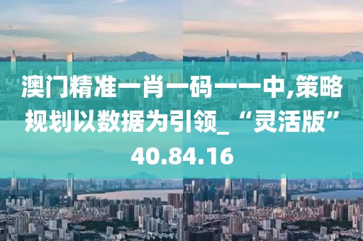 澳门精准一肖一码一一中,策略规划以数据为引领_“灵活版”40.84.16