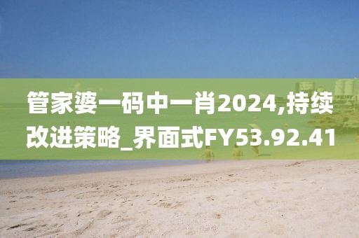 管家婆一码中一肖2024,持续改进策略_界面式FY53.92.41