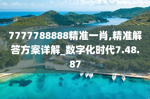 7777788888精准一肖,精准解答方案详解_数字化时代7.48.87