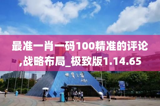 最准一肖一码100精准的评论,战略布局_极致版1.14.65