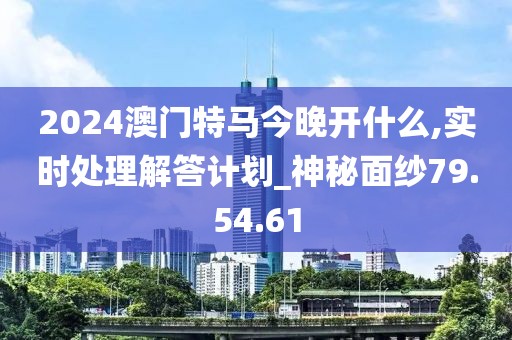 2024澳门特马今晚开什么,实时处理解答计划_神秘面纱79.54.61