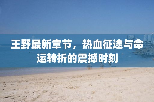 王野最新章节，热血征途与命运转折的震撼时刻