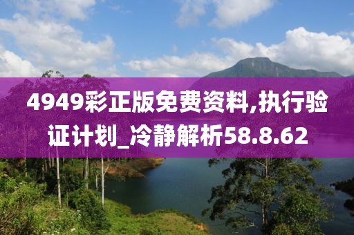 4949彩正版免费资料,执行验证计划_冷静解析58.8.62