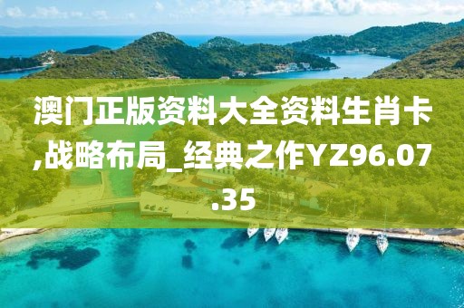 澳门正版资料大全资料生肖卡,战略布局_经典之作YZ96.07.35