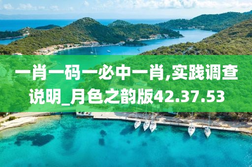 一肖一码一必中一肖,实践调查说明_月色之韵版42.37.53