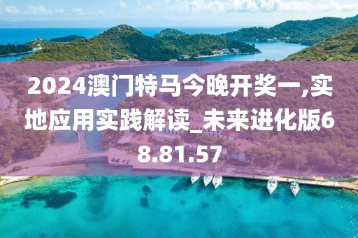 2024澳门特马今晚开奖一,实地应用实践解读_未来进化版68.81.57