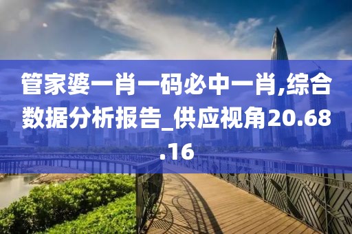 管家婆一肖一码必中一肖,综合数据分析报告_供应视角20.68.16