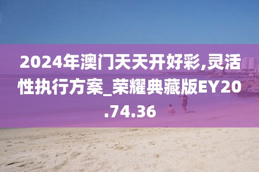 2024年澳门天天开好彩,灵活性执行方案_荣耀典藏版EY20.74.36