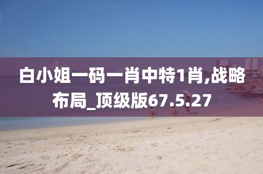 白小姐一码一肖中特1肖,战略布局_顶级版67.5.27