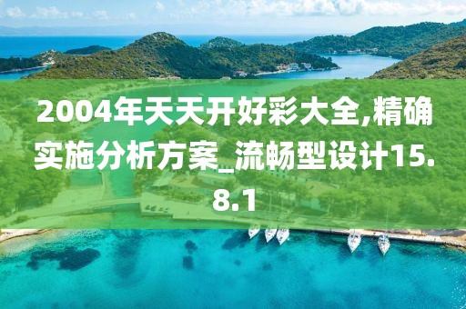 2004年天天开好彩大全,精确实施分析方案_流畅型设计15.8.1
