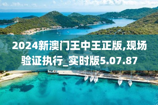 2024新澳门王中王正版,现场验证执行_实时版5.07.87