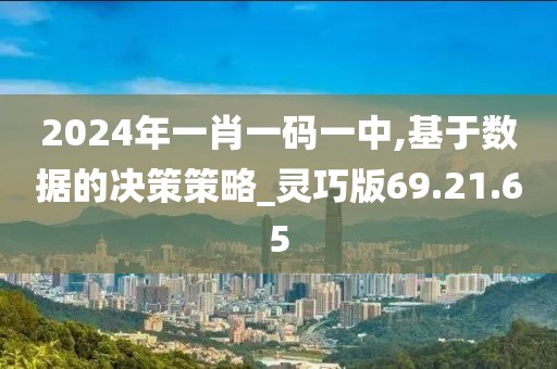 2024年一肖一码一中,基于数据的决策策略_灵巧版69.21.65