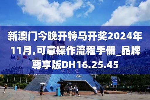 新澳门今晚开特马开奖2024年11月,可靠操作流程手册_品牌尊享版DH16.25.45