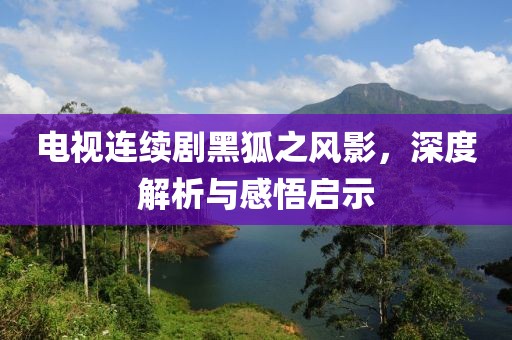 电视连续剧黑狐之风影，深度解析与感悟启示