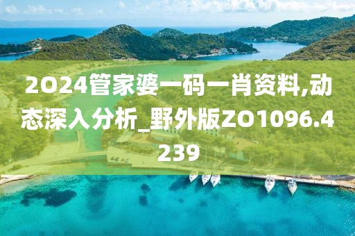 2O24管家婆一码一肖资料,动态深入分析_野外版ZO1096.4239