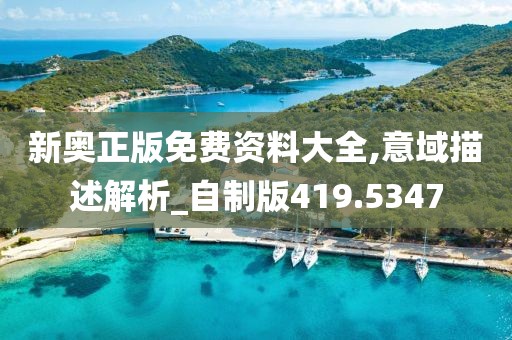 新奥正版免费资料大全,意域描述解析_自制版419.5347