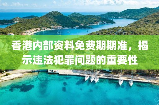 香港内部资料免费期期准，揭示违法犯罪问题的重要性