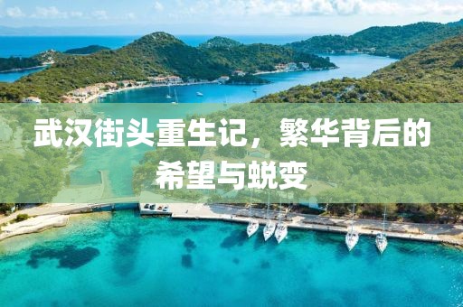 武汉街头重生记，繁华背后的希望与蜕变