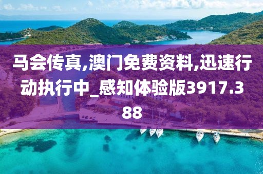 马会传真,澳门免费资料,迅速行动执行中_感知体验版3917.388