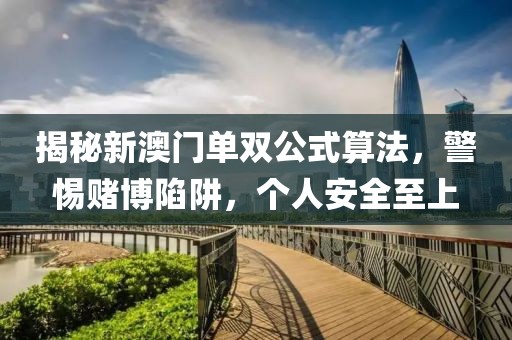 揭秘新澳门单双公式算法，警惕赌博陷阱，个人安全至上