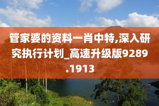 管家婆的资料一肖中特,深入研究执行计划_高速升级版9289.1913