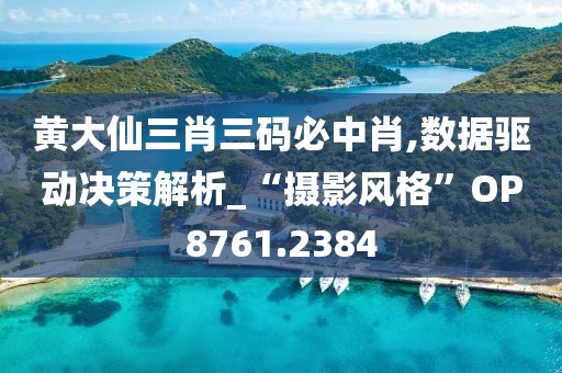 黄大仙三肖三码必中肖,数据驱动决策解析_“摄影风格”OP8761.2384