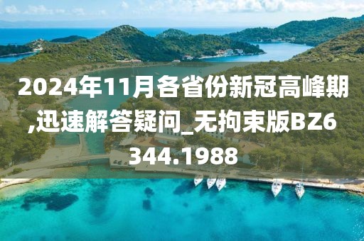 2024年11月各省份新冠高峰期,迅速解答疑问_无拘束版BZ6344.1988