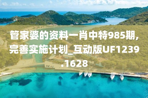 管家婆的资料一肖中特985期,完善实施计划_互动版UF1239.1628