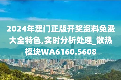 2024年澳门正版开奖资料免费大全特色,实时分析处理_散热模块WA6160.5608