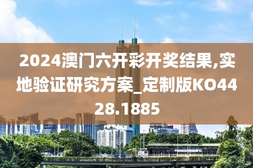 2024澳门六开彩开奖结果,实地验证研究方案_定制版KO4428.1885