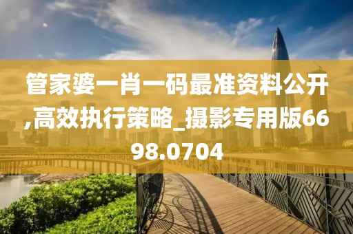 管家婆一肖一码最准资料公开,高效执行策略_摄影专用版6698.0704
