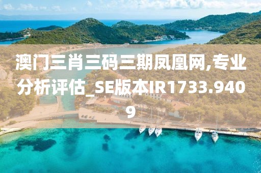 澳门三肖三码三期凤凰网,专业分析评估_SE版本IR1733.9409