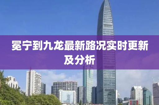 冕宁到九龙最新路况实时更新及分析