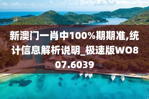 新澳门一肖中100%期期准,统计信息解析说明_极速版WO807.6039
