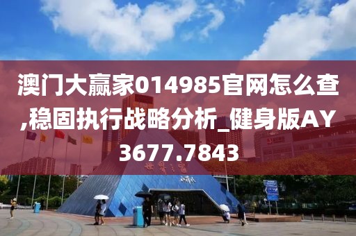 澳门大赢家014985官网怎么查,稳固执行战略分析_健身版AY3677.7843