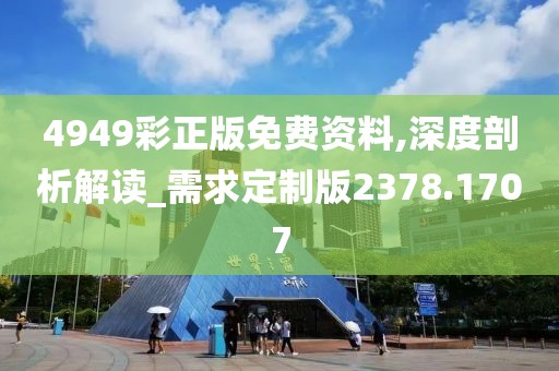 4949彩正版免费资料,深度剖析解读_需求定制版2378.1707