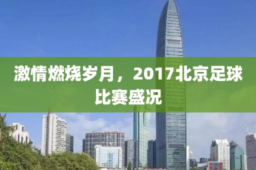 孤城凉梦 第25页