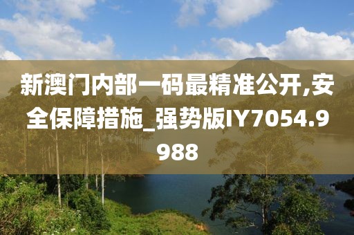 新澳门内部一码最精准公开,安全保障措施_强势版IY7054.9988