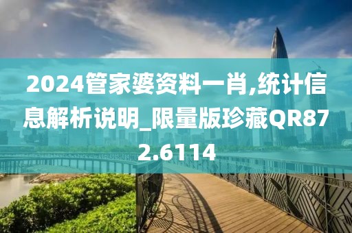 2024管家婆资料一肖,统计信息解析说明_限量版珍藏QR872.6114