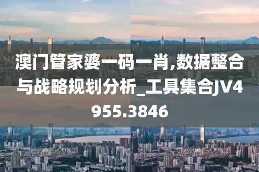 澳门管家婆一码一肖,数据整合与战略规划分析_工具集合JV4955.3846